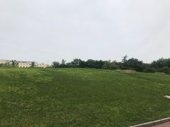 -北京国家会计学院