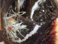 清蒸多宝鱼-王府井酒店(金桥港湾店)