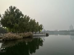 -莲花池公园