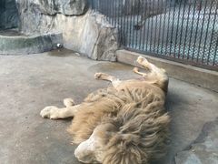 -南昌动物园
