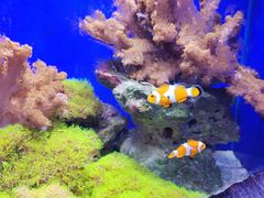 -北海海底世界