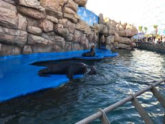 -华夏文旅海洋公园