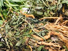 -重振华中蔬菜批发市场(重庆中路店)