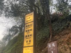 -茶颜悦色(岳麓山顶店)