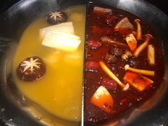 台式麻辣花胶鸡鸳鸯锅-湊湊火锅·茶憩(世博大道店)