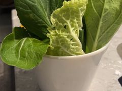 -百年果林椰子鸡(益田假日里店)