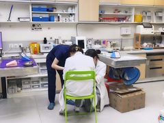 -谐和益家动物医院·免疫绝育·血液透析·宠保定点医院(高新伊藤分院)