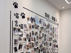 -瑞派·关忠动物医院·猫专科·犬专科(三环新城店)
