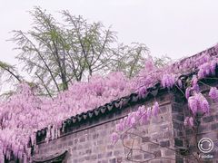-老门东历史文化街区