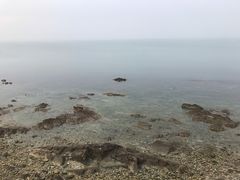 -养马岛旅游度假区
