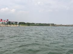 -碧海金沙