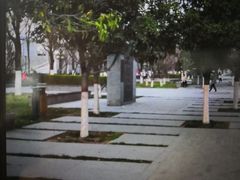 -木塔寺遗址生态公园