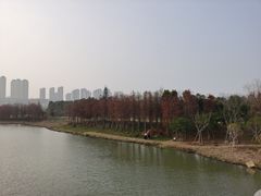 -三垟湿地