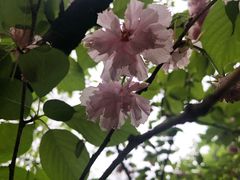 -笋爷高汤嗦螺粉·螺蛳粉(上社店)