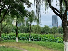-后襄河公园