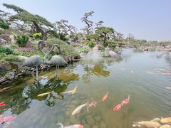 景点-罗红摄影艺术馆
