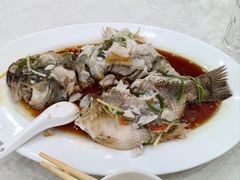 -郭林家常菜(洋桥店)