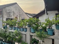 -常熟方塔园