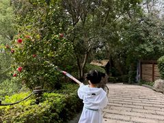 -天目湖涵田半山温泉