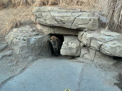 -北京野生动物园