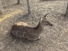 -观唐（国际）度假村温泉