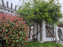 -杭州植物园