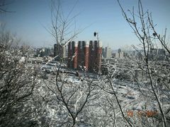 -高尔山公园