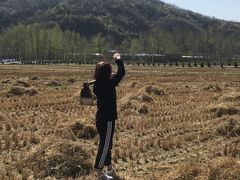 -南泥湾风景区