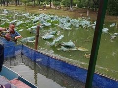 -白塘生态植物园