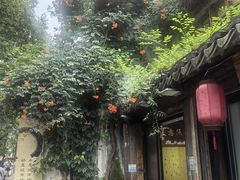 -琵琶语评弹茶馆(苏州平江路店)