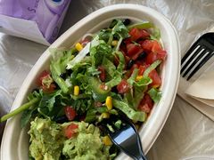 -油梨树AVOCADO TREE(望京店)