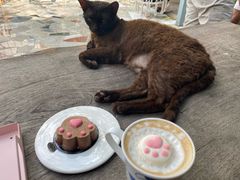 -喵屿·大理花园猫咖