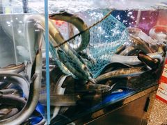 -本炙炭烤·蒲烧活鳗料理店(金沙洲店)