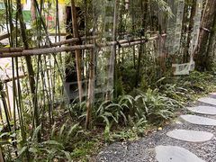 -扫雪煮茶(西村店)