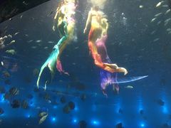 -瑞德姆美人鱼海底演艺主题餐厅(亚龙湾店)