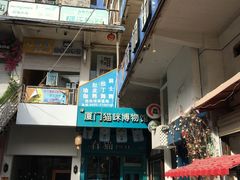 -猫咪博物馆(顶澳仔猫街店)