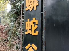 -梦幻奥陶纪景区