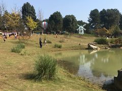 -铁山坪森林公园