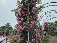 -尚贤河湿地