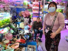 -双季花艺园艺市场(浦东店)