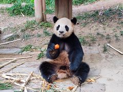 -广州长隆野生动物世界