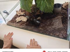 -美国自然历史博物馆