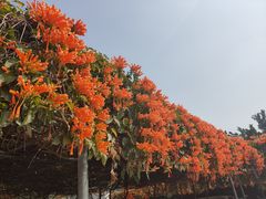 -中国移动南方基地