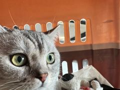 -FAELING PETS美天灵宠物(富力广场店)