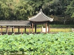 -龙头寺公园