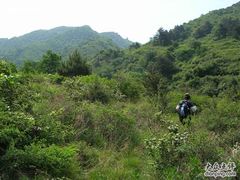 -大岭沟猕猴桃谷风景区