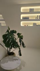 -安那般那皮肤年轻化ANAPANA
