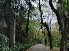 -缙云山景区