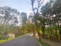 -常德桃花源景区