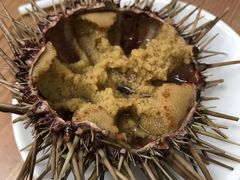 -海胆小馆(东北水饺·春柳店)